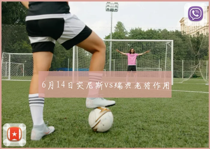 6月14日突尼斯vs瑞典老将作用