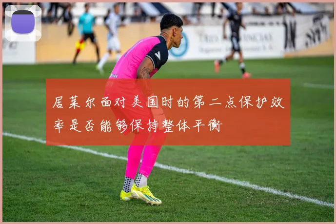 居莱尔面对美国时的第二点保护效率是否能够保持整体平衡