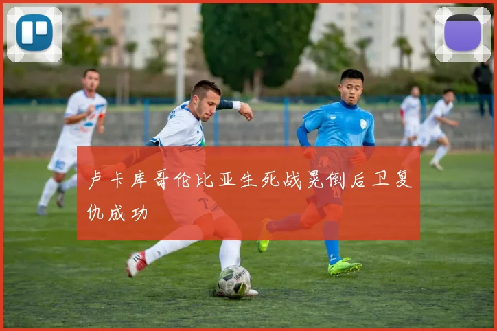 卢卡库哥伦比亚生死战晃倒后卫复仇成功
