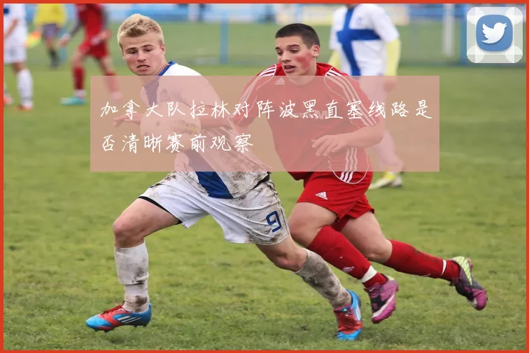 加拿大队拉林对阵波黑直塞线路是否清晰赛前观察