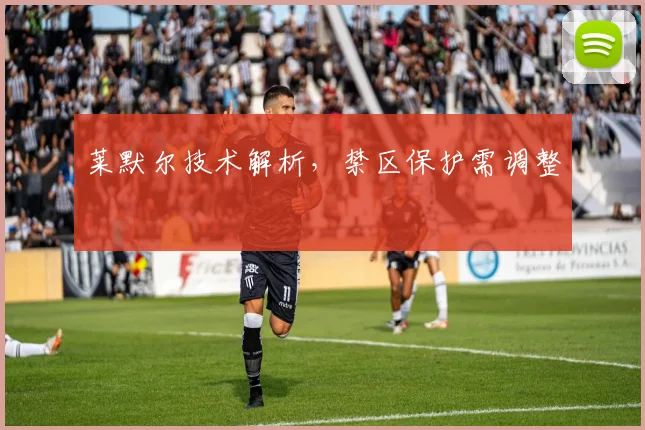 莱默尔技术解析，禁区保护需调整